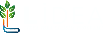 Lidea Venture Program